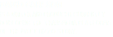 DAVID CARLSON IS A WRITER AND PRODUCER CURRENTLY DEVELOPING THE TRANSMEDIA PLATFORMS OF THE MATT RIZZO STORY. 